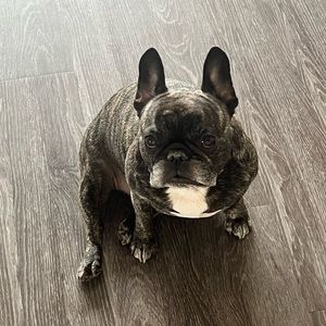 this item is for ashley